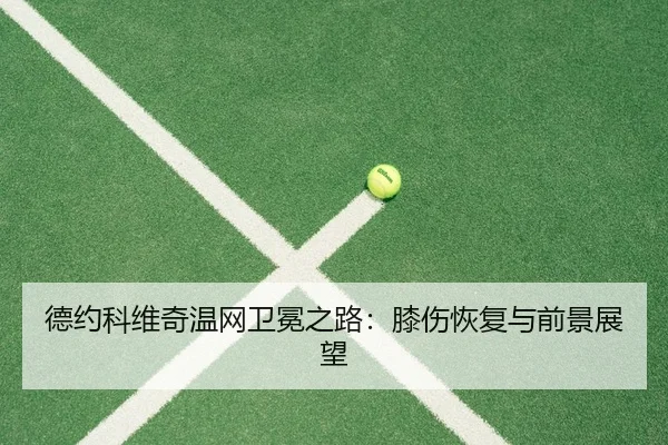 de-yue-ke-wei-qi-wen-wang-wei-mian-zhi-lu-xi-shang-hui-fu-yu-qian-jing-zhan-wang-2-825.jpg