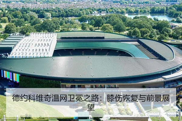 de-yue-ke-wei-qi-wen-wang-wei-mian-zhi-lu-xi-shang-hui-fu-yu-qian-jing-zhan-wang-3-429.jpg
