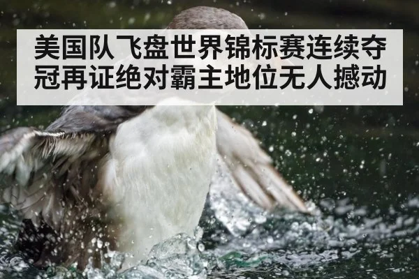 美国队飞盘世界锦标赛连续夺冠再证绝对霸主地位无人撼动